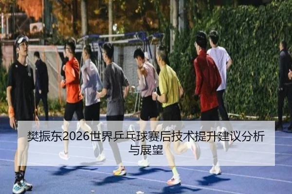 樊振东2026世界乒乓球赛后技术提升建议分析与展望
