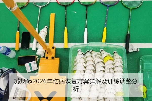 su-bing-tian-nian-shang-bing-hui-fu-fang-an-xiang-jie-ji-xun-lian-tiao-zheng-fen-xi-2-949.jpg