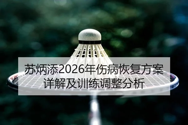苏炳添2026年伤病恢复方案详解及训练调整分析